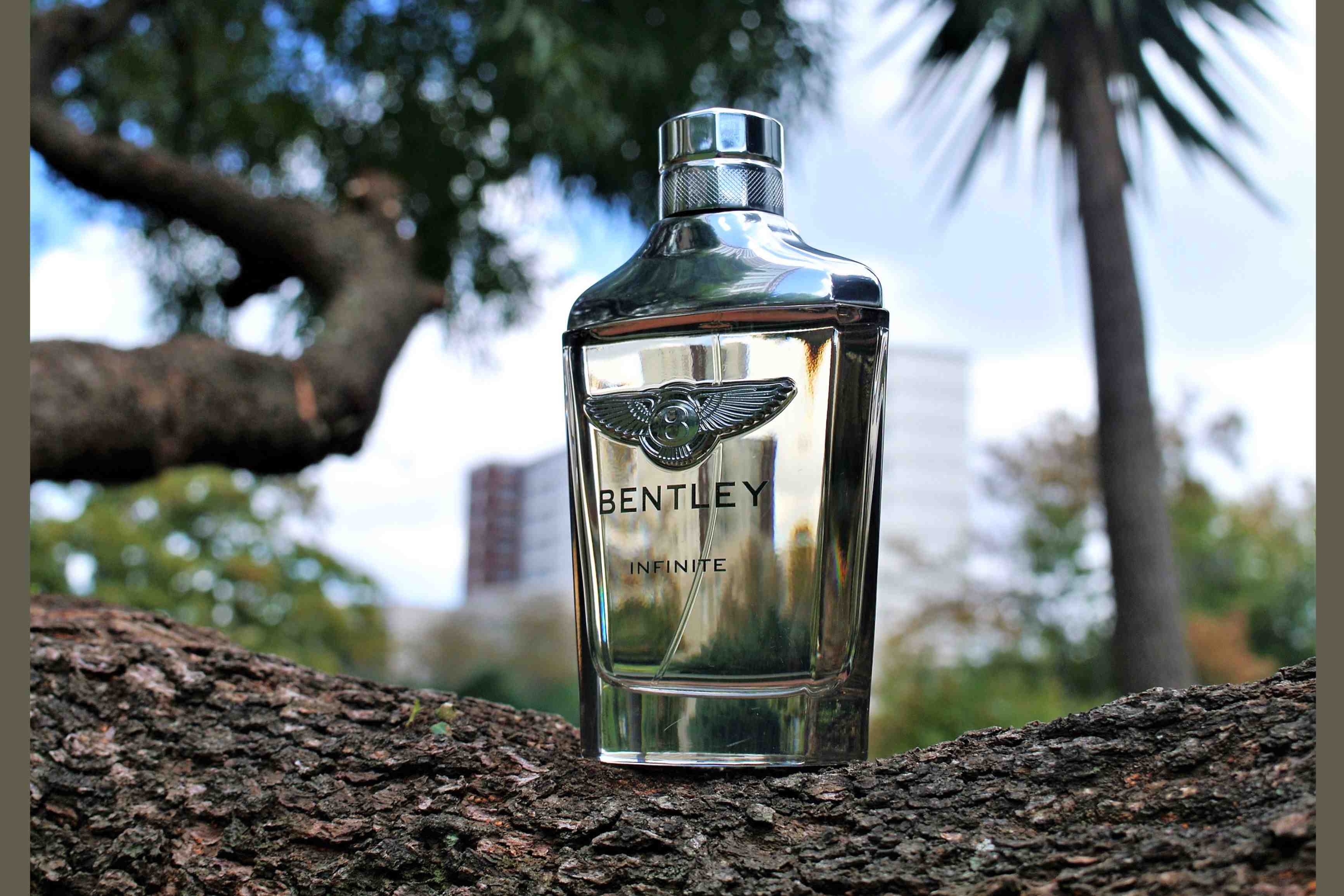  Bentley Infinite for Men EDT